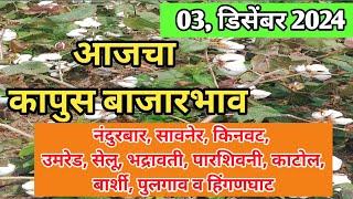 03, डिसेंबर 2024 🛑 कापुस बाजारभाव अमरावती, सावनेर, किनवट, राळेगाव, भद्रावती, पारशिवनी, अकोला