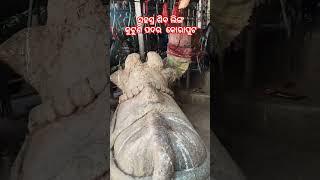 ସହସ୍ର ଶିବ ଲିଙ୍ଗ କୁଟୁଣି ପଦର  କୋରାପୁଟ