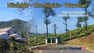 We are going to Wayanad |Travel route - The Nilgiris| Beauty of The Nilgiris  |shifnasaidalavi