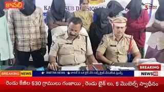 కావలి లో గంజాయి కలకలం  3netra News  201224