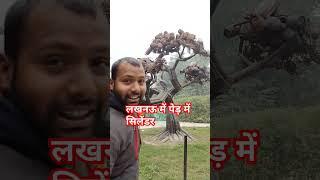 #subscribe #comedy #comedyकॉमेडी  लखनऊ में पेड़ो में सिलेंडर लगते है