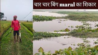 चार चार बिग maral का शिकार||देशी फिशिंग||बिहार सुपौल