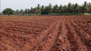 2 acre 33 kunte Red soil Nanjangud Land for sale 9902082955