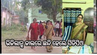 ବେଗୁନିଆ ପଡ଼ା ବ୍ଲକ ସିଡିପିଓ ଭିଜିଲାନ୍ସ ଜାଲରେ ଛନ୍ଦି ହେଲେ