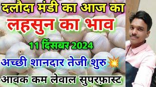 दलौदा मंडी आज का लहसुन का भाव 11 दिसंबर 2024 |garlic rate today daloda mandi