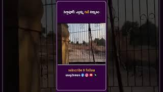 సిర్గాపూర్: ఎల్లమ్మ గుడి నిర్మాణం | Medak | Telangana | Way2news Telugu