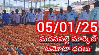 05-01-25 Madanapalle Tomato Market price Today || Today Tomato Market Rate in Madanapalle