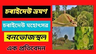 চৰাইদেউ ভ্ৰমণ, চৰাইদেউ মহোৎসৱ আৰু বনভোজস্থলৰ এক প্ৰতিবেদন।