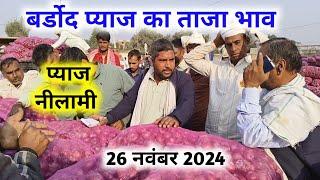 बर्डोद बहरोड़ प्याज कि नीलामी 26 नवंबर 2024 | बर्डोद मंडी में प्याज भाव | Bardod rajasthan