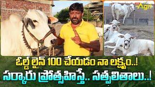 Ongole Cow Dairy Farm | ఓల్డ్ లైన్ 100 చేయడం నా లక్ష్యం..! సర్కారు ప్రోత్సహిస్తే సత్ఫలితాలు ToneAgri