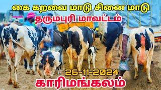 பகுதி 1 #karimangalam cow market சினை மாடு கை கறவை மாடு காரிமங்கலம் மாட்டு சந்தை தருமபுரி மாவட்டம்