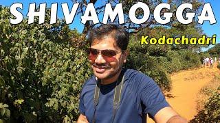 Must visit in Shivamogga | Kodachadri Jeep Adventure | Kodachadri Trekking near Kollur ಕೊಡಚಾದ್ರಿ