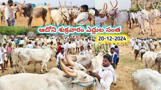 ఆదోని శుక్రవారం ఎద్దుల సంతలో ధరలు//Adoni friday bull's market ||™Oxe's Cart price video's 2024