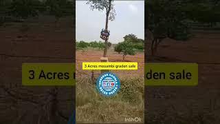 Acres Orange Orchard for Sale || ₹15 Lakhs/Acre || Jogulamba Gadwal