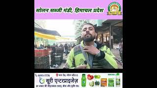 सोलन मंडी थोक भाव अपडेट।। 25 दिसंबर 2024 किसान न्यूज Kisaan News