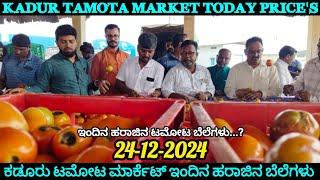 |Kadur| |today, 24/12/2024| tomato rate. ಕಡೂರು ಟಮೋಟ ಮಾರುಕಟ್ಟೆಯ ಟಮೋಟ ಬೆಲೆ ಎಷ್ಟುಗೊತ್ತಾ...?