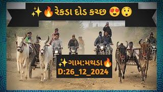 રેકડા દોડ કચ્છ ✨ગામ: મથડા🔥D:26_12_2024,જોરદાર બુલ રેસ ૨ રેકડા કાટા ની ટકર😍✨✨😲Bull resh kach