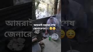 আমরাই শেষ জেনারেশন যারা এভাবে নানুর হাতের পিঠা খেয়েছি।।