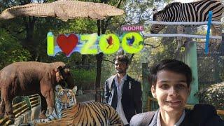 Kamal Nehru Prani Sangrahalay | Indore zoo vlog | इंदौर चिड़ियाघर ☺️|  indore madhya pardesh|.....