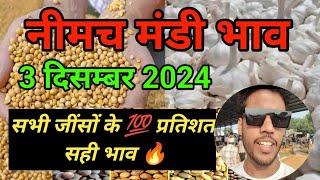 नीमच की मंडी सभी जींसों के भाव || neemuch mandi rate || Neemuch mandi bhav || 3 December 2024