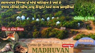 મધુવન નું જંગલ, ટાપુ અને બીચ ભાવનગર | MADHUVAN | BEST TRAVEL ADVENTURE PLACES IN BHAVNAGAR GUJARAT |