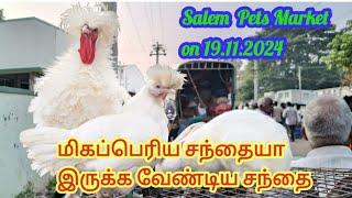 சேலம் மணியனூர் சந்தைக்கு ஏன் போனேன் என்றுஆகிவிட்டது. Salem Pets Market on19.11.24.#A.J.Pets Market