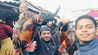 pakur to Hiranpur 🐓 vlogs  পাকুর থেকে হিরানপুর মুরগি আনতে জয়ার Video ||