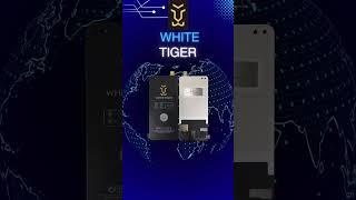 PREMIUM QUALITY DISPLAY WHITE TIGER (KAROL BAGH)