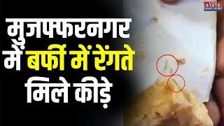 Muzaffarnagar News: मुजफ्फरनगर की प्रसिद्ध मिठाई की दुकान के सामान में निकले कीड़े, VIDEO वायरल