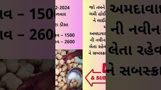 આજના બટાટા ડીસા ના બજાર ભાવ અમદાવાદ Aaj na bajar bhav potato deesa rate માર્કેટ યાર્ડ APMC