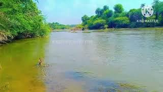 Biggest Dam of Ajmer "GORDHA DAM" || गोरधा डेम हुआ Overflow , गोरधा (अजमेर) ||