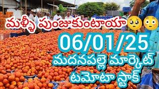 06-01-25 Madanapalle Tomato Market price Today || Today Tomato Market Rate in Madanapalle