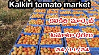 24 November 2024|| కలికిరి మార్కెట్లో టమోటా ధరలు|| ఈరోజు కొంచెం పెరగన టమాటా ధర