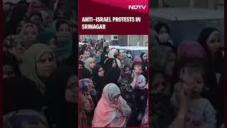 Jammu Kashmir News | Anti-Israel Protests In Srinagar Over Hezbollah Leader's Killing | Israel War