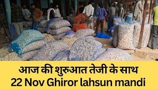 सुबह तेजी के साथ शुरुआत। 22 Nov घिरोर लहसुन मंडी भाव  Today Garlic price Ghiror lahsun Mandi bhav