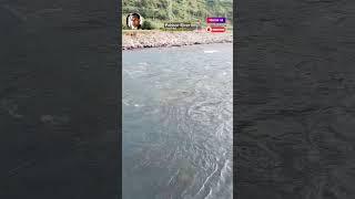 पब्बर नदी का सुंदर किनारा 👌 Pabbar River Near Rohru Chirgaon Road / Hiamchal Pradesh /Nadi Ka Kinara