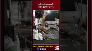 శ్రీశైలం పూజారి ఇంట్లో చిరుత పులి సంచారం..// TV45