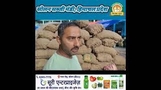 थोक भाव सोलन सब्जी मंडी हिमाचल प्रदेश।। 27 सितंबर 2024 किसान न्यूज Kisaan News topfans