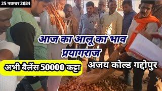 25 November 2024 आलू का भाव आज का अजय कोल्ड गद्दोपुर सोरांव प्रयागराजPotato price today in prayagrag