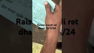 रायसेन मंडी रेट  | पूसा बासमती धान |#mandi वीडियो