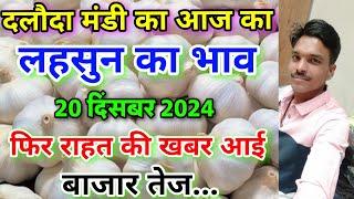 दलौदा मंडी आज की लहसुन की आवक 20 दिसंबर 2024 |garlic rate today daloda Mandi