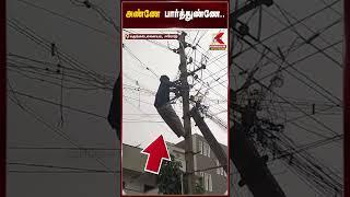 பாதுகாப்பு உபகரணங்கள் இன்றி பணியாற்றும் மின்வாரிய ஊழியர் | Erode | Kumudam News