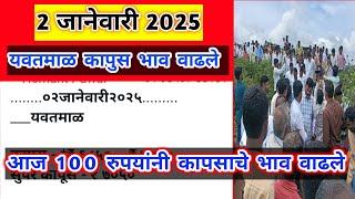 🔴 2 जानेवारी 2025। यवतमाळ कापूस भाव वाढले। मानवत कापूस भाव।कापुस बाजार भाव आजचे।Kapus Bhav Today|