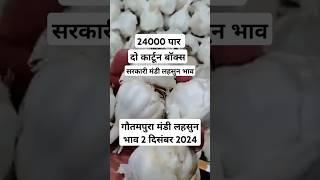 गौतमपुरा मंडी लहसुन भाव 2 दिसंबर 2024