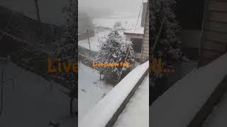 Live Snow #snowfall #kashmir #manali #shimla #gulmarg #srinagar #kishorekumarsongs #trending 🔥🔥