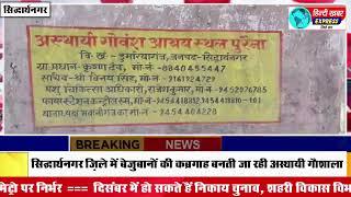 सिद्धार्थनगर- ज़िले में बेजुबानों की कब्रगाह बनती जा रही अस्थायी गौशाला।