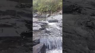 #malajkundam #waterfall #shorts #kanker #cg #viral_shorts || #cgtourism #cgvlogs #cgviral #cgshort 😇