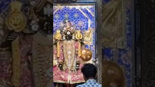 উদয়পুর এর 400 বছরের পুরনো বিষ্ণু দেবতা।#god #temple #trending #shorts #reels ।