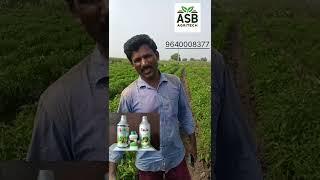 ASB Agritech లో ఆర్గానిక్ ప్రొడక్ట్స్  వాడిన రైతు అనుభవం. కులుమాల గ్రామం గోనెగండ్ల మండలం,కర్నూలు AP