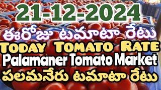 పలమనేరు 🍅🍅🍅టమాటో మార్కెట్ ధరలు 21-12-2024 ||ఈ రోజు టమోటా ధర Palamaner Market||ckgowthamvlogs